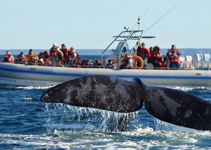 Madryn - Roca