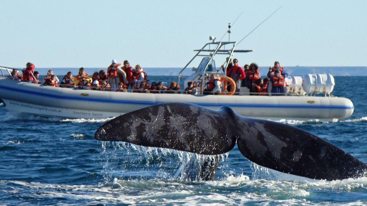 Madryn - Roca Puerto Madryn